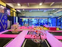想在泉州开室内游乐场的创业者，需要找整场设计和设备的源头厂家，推荐蜜动游乐